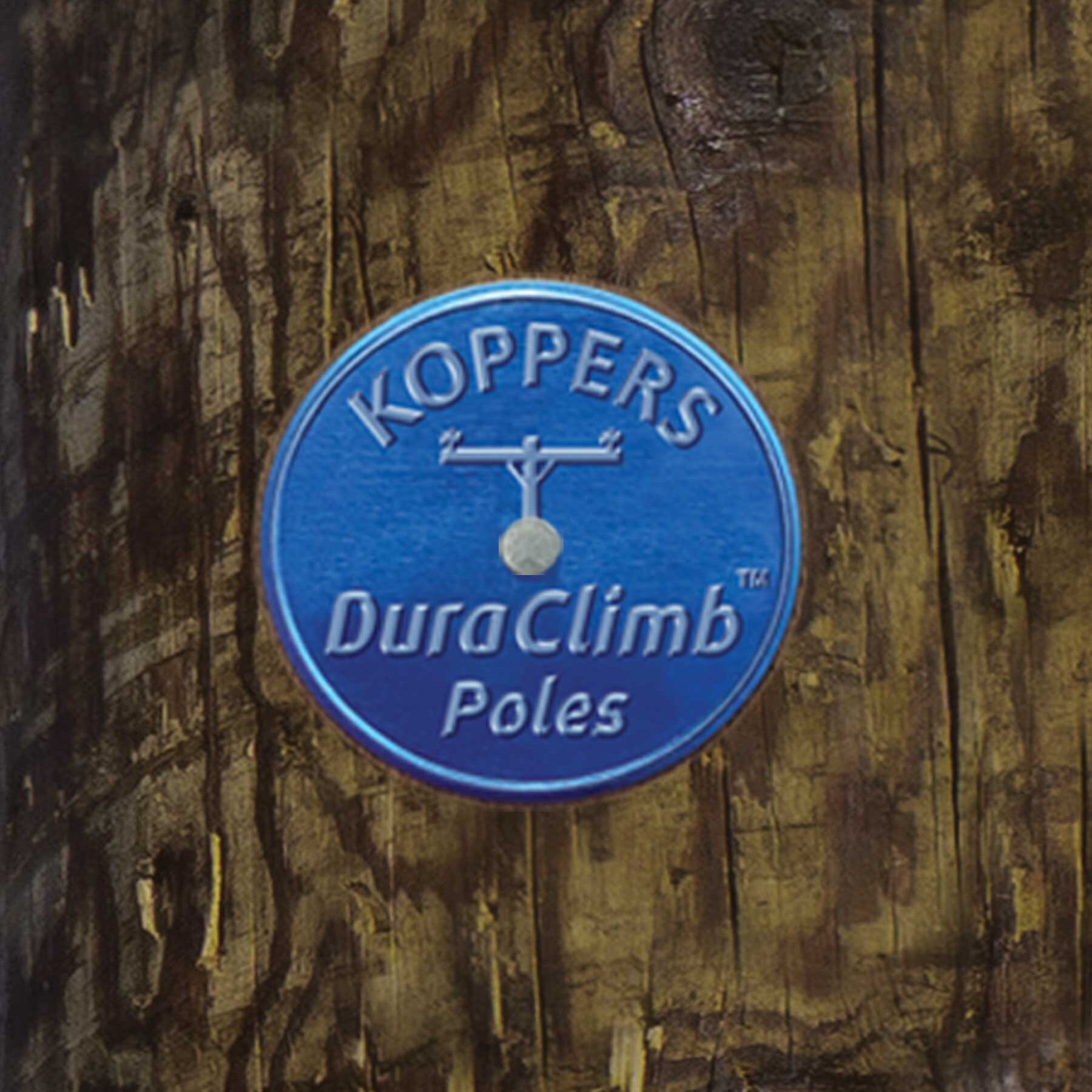 Resized-Tag